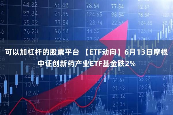 可以加杠杆的股票平台 【ETF动向】6月13日摩根中证创新药产业ETF基金跌2%