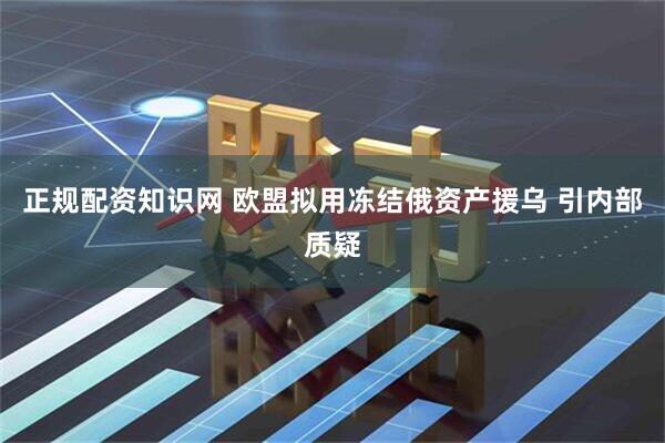 正规配资知识网 欧盟拟用冻结俄资产援乌 引内部质疑